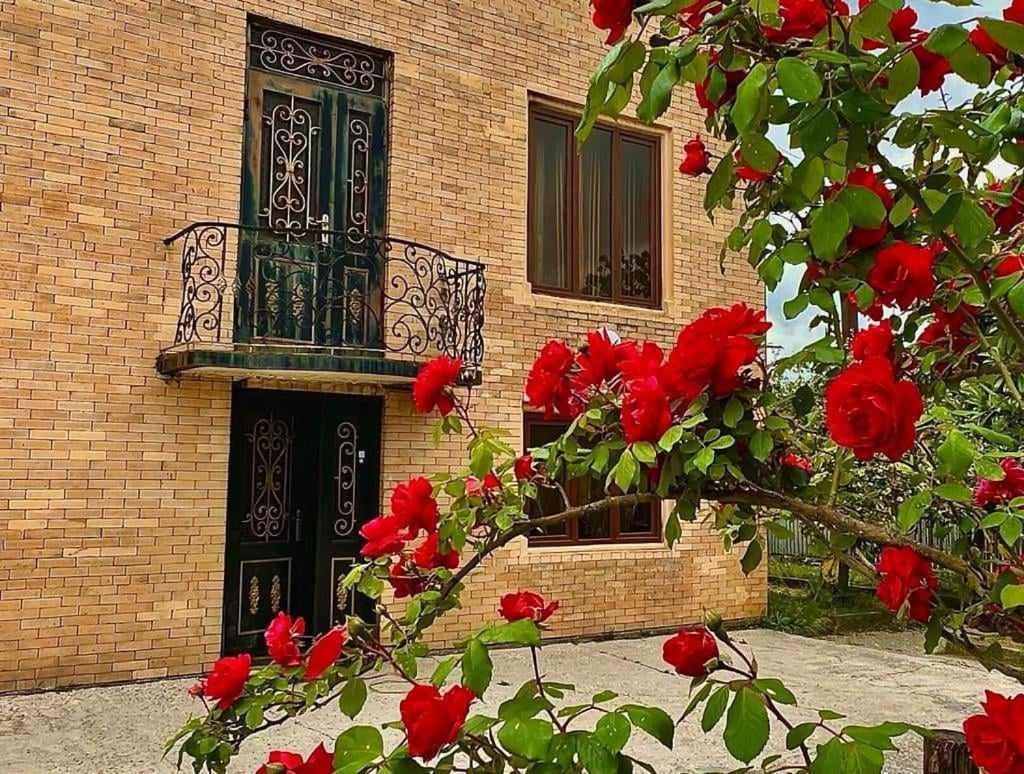 Hotel G I O Samtredia Ngoại thất bức ảnh